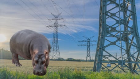 How Does a Hippo Influence Grid Performance? 