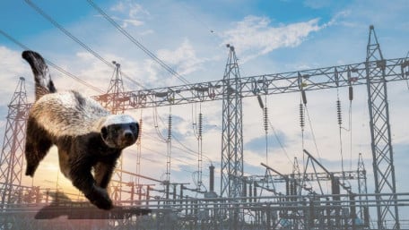 Smarter EV Charging: A Honey Badger Perspective 