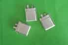 Lishen Offers New Flat Lithium-Ion Batteries