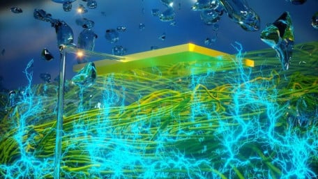Protein Nanowires Use Humidity Gradient to Generate Electricity
