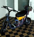 Manhattan Scientifics Unveils Fuel Cell Scooter