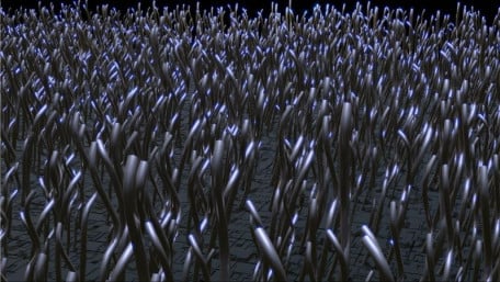 Researchers Investigate the Power of Nanowires in Fuel Cells