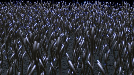 Researchers Investigate the Power of Nanowires in Fuel Cells