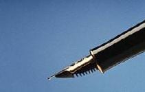 Primarion Licenses Power Architecture to Intersil