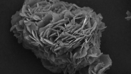 Microwaves can Quickly Turn Soda Bottles into Battery Anodes