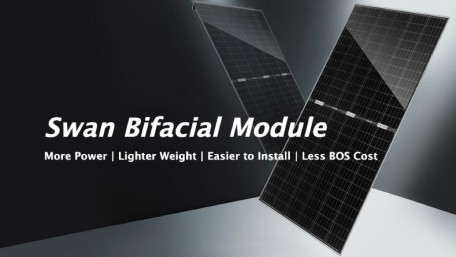 JinkoSolar Launches Bifacial Module with New Transparent Backsheet