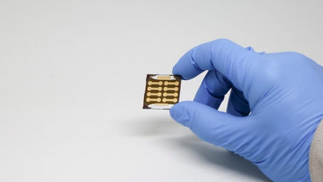 Researchers Make Quantum Dots and Perovskite Solar Cells at only 150°C
