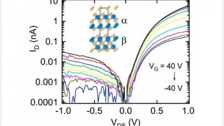 van der Waals Schottky Diode for Thermal Energy Harvesting
