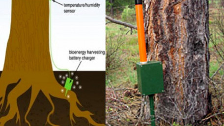 Perimeter Solutions Partners with Voltree Power on Wildfire Prevention